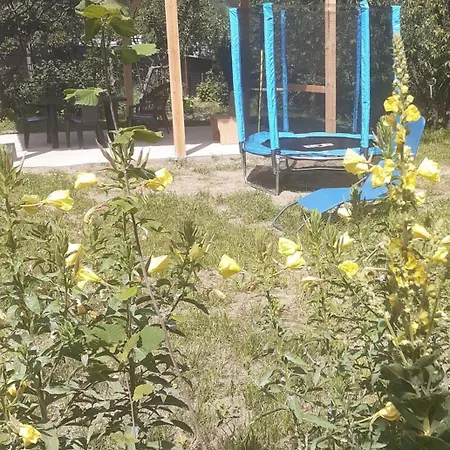 Casa Carmen * Tirgu Ocna