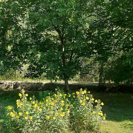 Casa Carmen Homestay Tirgu Ocna